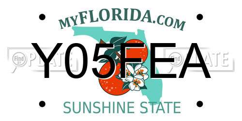 Y05FEA Florida License Plate
