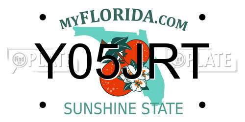 Y05JRT Florida License Plate