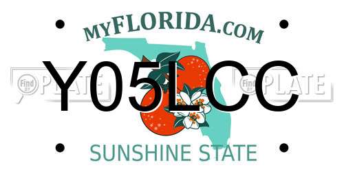 Y05LCC Florida License Plate