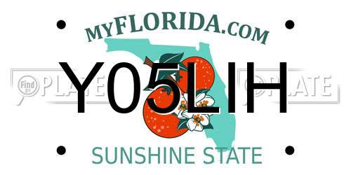 Y05LIH Florida License Plate