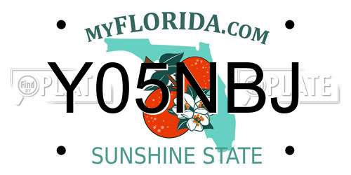 Y05NBJ Florida License Plate