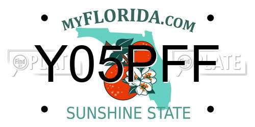 Y05PFF Florida License Plate