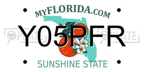 Y05PFR Florida License Plate