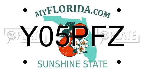 Y05PFZ Florida License Plate