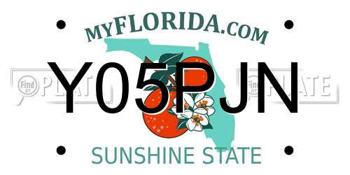 Y05PJN Florida License Plate
