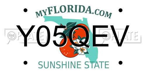 Y05QEV Florida License Plate
