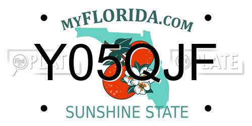 Y05QJF Florida License Plate