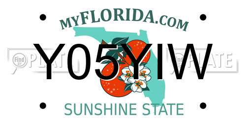 Y05YIW Florida License Plate