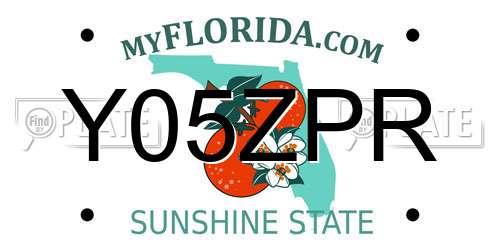 Y05ZPR Florida License Plate