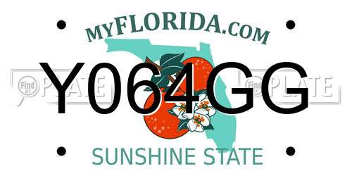 Y064GG Florida License Plate
