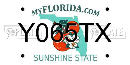Y065TX Florida License Plate