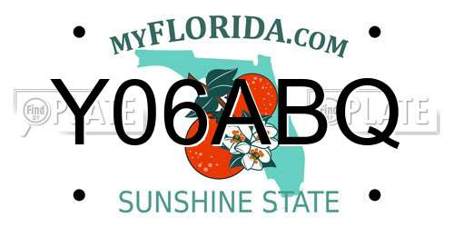 Y06ABQ Florida License Plate