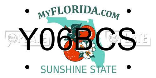 Y06BCS Florida License Plate