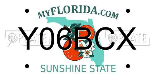 Y06BCX Florida License Plate