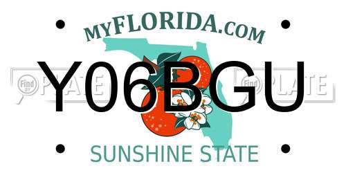 Y06BGU Florida License Plate