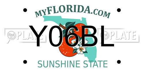 Y06BL Florida License Plate