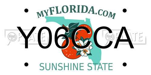 Y06CCA Florida License Plate
