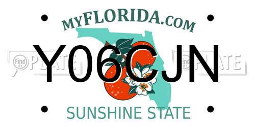 Y06CJN Florida License Plate