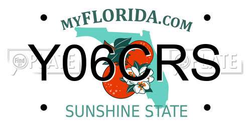 Y06CRS Florida License Plate