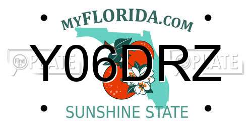 Y06DRZ Florida License Plate