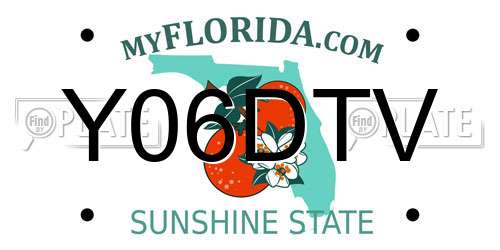 Y06DTV Florida License Plate