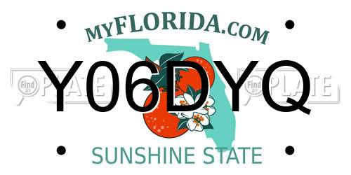 Y06DYQ Florida License Plate