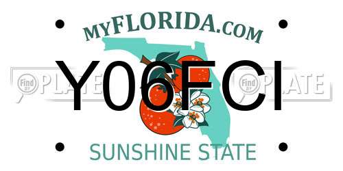 Y06FCI Florida License Plate