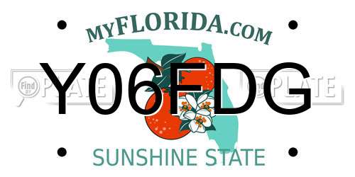 Y06FDG Florida License Plate