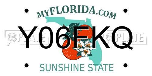 Y06FKQ Florida License Plate