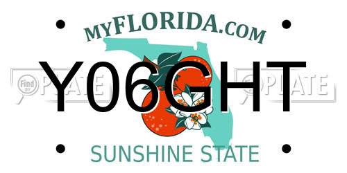 Y06GHT Florida License Plate