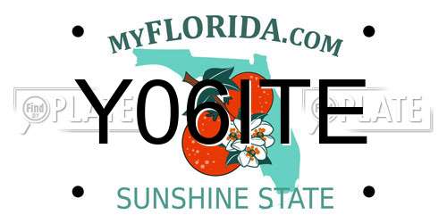 Y06ITE Florida License Plate