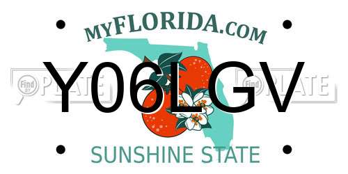 Y06LGV Florida License Plate