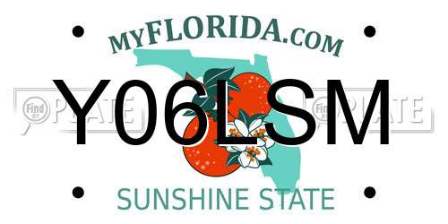 Y06LSM Florida License Plate
