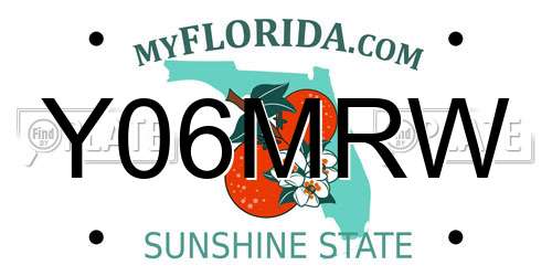 Y06MRW Florida License Plate