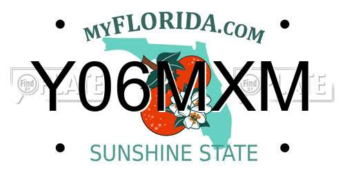 Y06MXM Florida License Plate