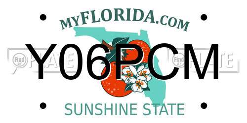Y06PCM Florida License Plate