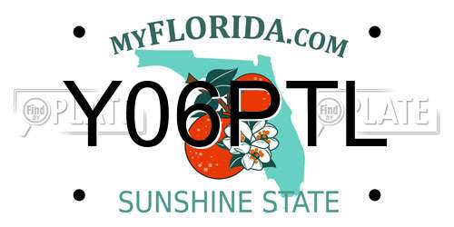 Y06PTL Florida License Plate