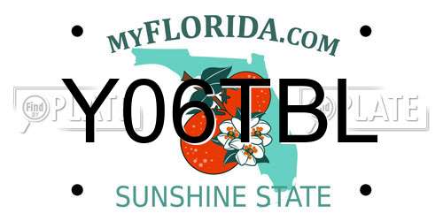 Y06TBL Florida License Plate