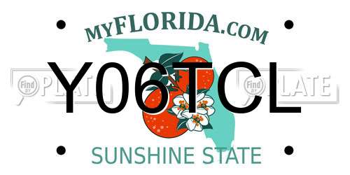 Y06TCL Florida License Plate