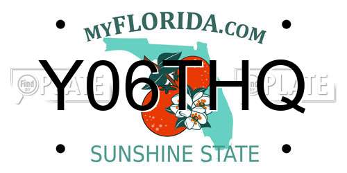 Y06THQ Florida License Plate
