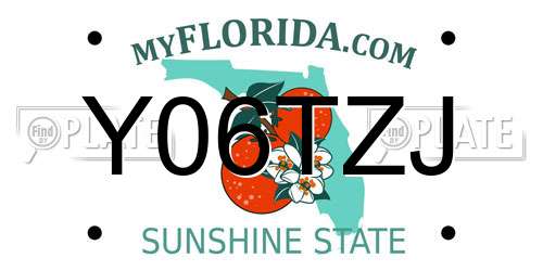 Y06TZJ Florida License Plate
