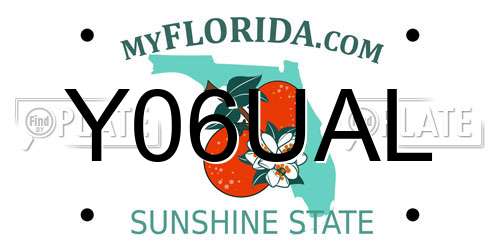Y06UAL Florida License Plate