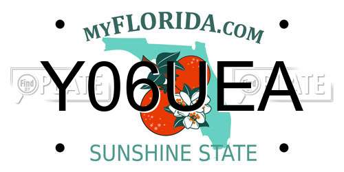 Y06UEA Florida License Plate