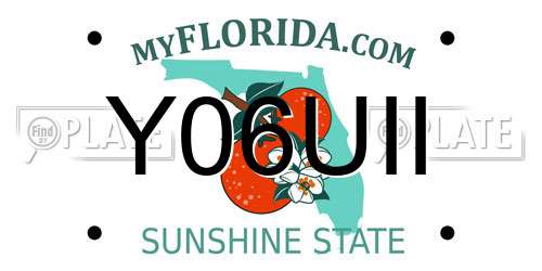 Y06UII Florida License Plate