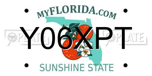 Y06XPT Florida License Plate