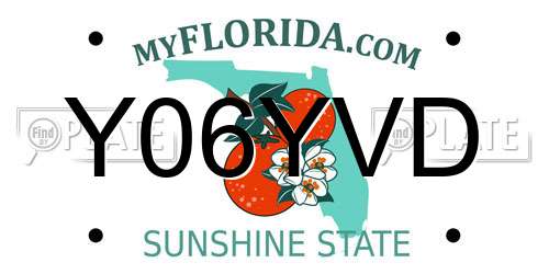 Y06YVD Florida License Plate