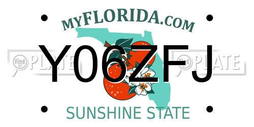 Y06ZFJ Florida License Plate