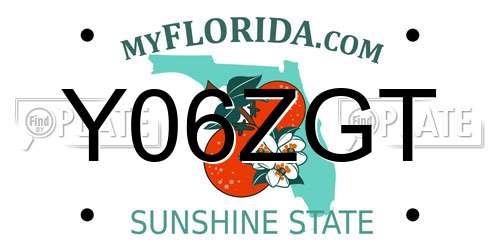 Y06ZGT Florida License Plate