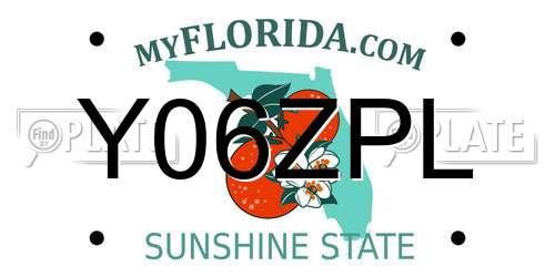 Y06ZPL Florida License Plate