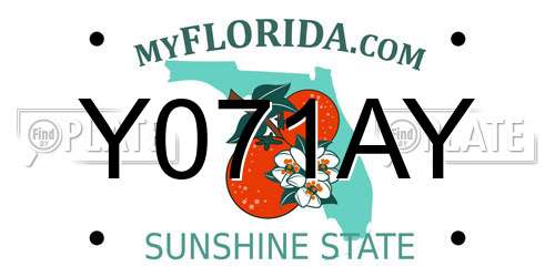 Y071AY Florida License Plate